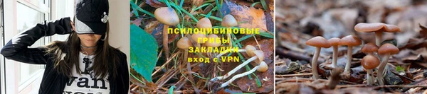 MDMA Premium VHQ Бородино