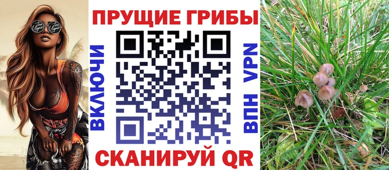 что такое   Новомичуринск  Галлюциногенные грибы прущие грибы 